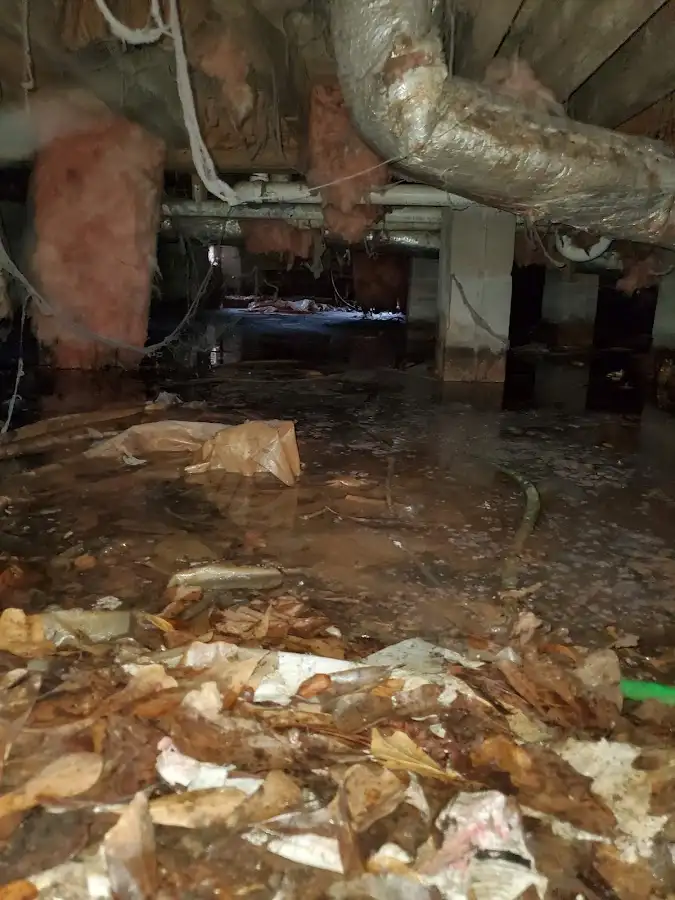 Crawl space flood assessment for Leak Detection & Repair in Santa Paula