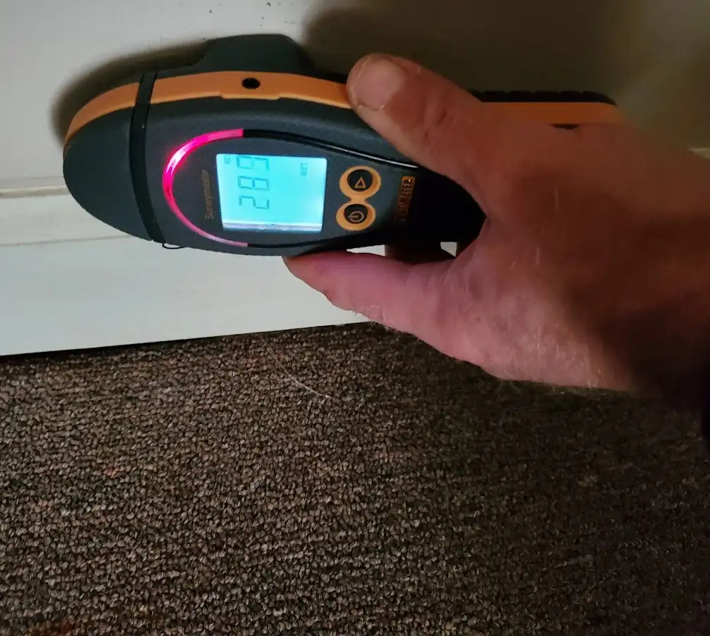 Moisture detection at baseboard during Mold Inspection & Testing in Santa Paula